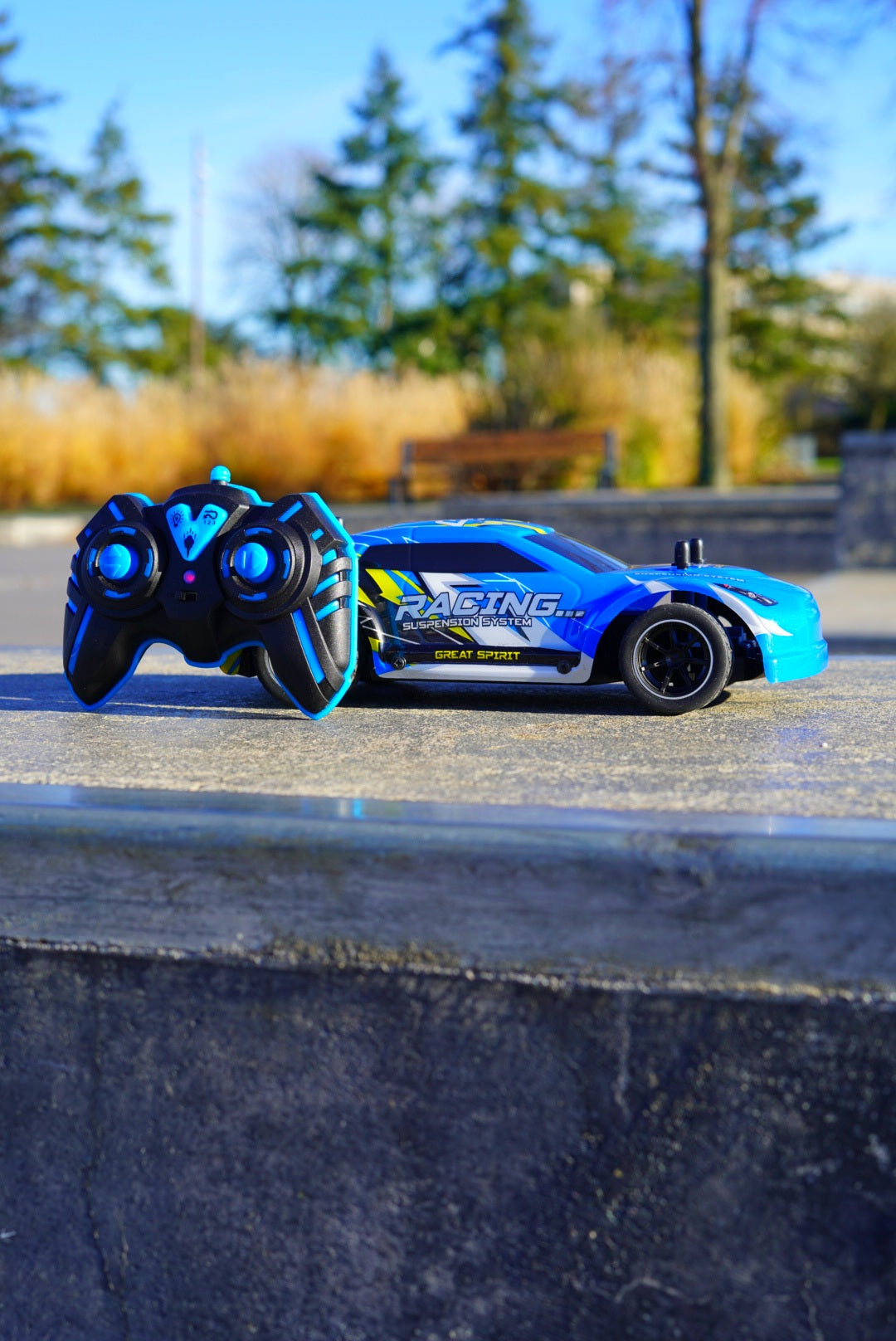Voiture de Course Télécommandée